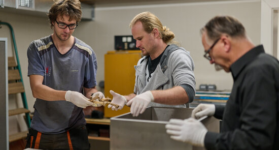 Jindřich z Lipé opět v bazilice